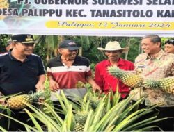 Pj. Gubernur Sulawesi Selatan Mengunjungi Desa Palippu Penghasil Nanas Terbesar Di Sulawesi Selatan