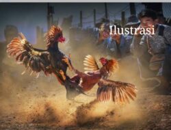 Masyarakat Resah. Sabung Ayam di Gombengsari tak Tersentuh Aparat