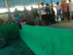 Lapor Pak Kapolri Perjudian Sabung Ayam Di Wilayah Kabupaten Kediri Makin Marak, Di Duga Ada Oknuk Jadi Backing