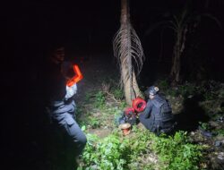 Gegana Sat Brimob Polda Sulsel Disposal Granat Nanas di Latekko Bone