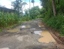 Jalan Provinsi Poros Kec. Bungaya Kab. Gowa Dikerjakan Asal Jadi Menuai Kritikan Masyarakat