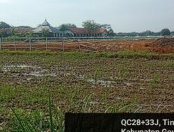 Ribuan Hektare Lahan Pertanian Di Kab. Gowa Ditanami Beton.