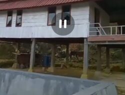 Salah satu rumah pondok (Villa) yang ada didalam kawasan Hutan Produksi di Desa Mappetajang menjadi sorotan