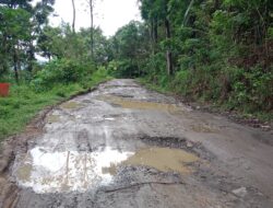 Kemerdekaan Yang Semu Dan Penuh Dengan Pencitraan Menyisahkan Berbagai Masalah Yang Tak Terselesaikan