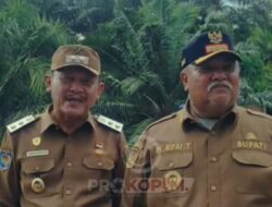 Bupati dan Wakil Bupati Bengkulu Selatan Meninjau Progres Pembangunan Jembatan Sekunyit Kecil.